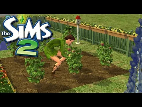 Thumbnail for 🌿Sims 2 No Commentary Gameplay | Gardening & Quiet Moments🌿Harvest Time! | Cottagecore ASMR 🌱