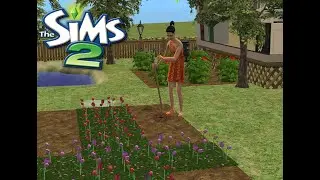 🌿Sims 2 No Commentary Gameplay | Gardening & Quiet Life🌿 Cottagecore ASMR Gardening🌱