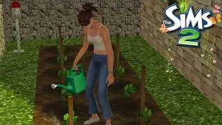 🌱 4K Cottagecore Life: Gardening, Fishing & Spring Rain ☔ | Sims 2 No Commentary Cozy Gameplay