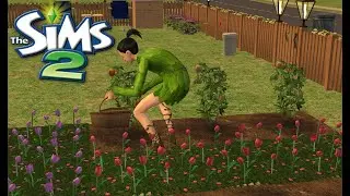 🌿Sims 2 No Commentary Longplay | Gardening & Quiet Life🌿 Cottagecore ASMR Gardening🌱