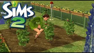 🌿Sims 2 No Commentary Gameplay | Gardening & Quiet Moments🌿Harvest Time! | Cottagecore ASMR 🌱