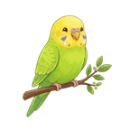 Sunny the budgie
